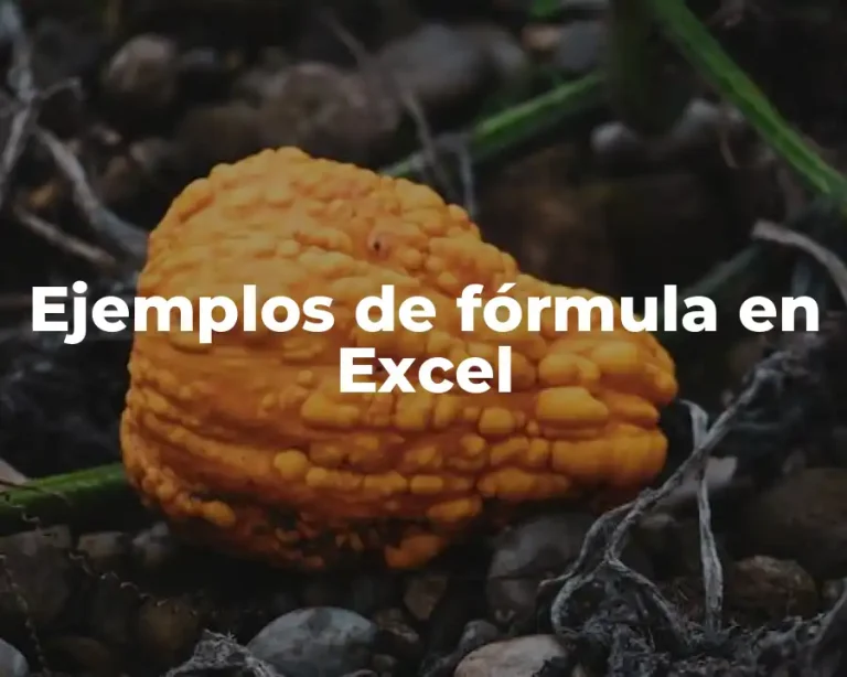 Ejemplos de fórmula en Excel