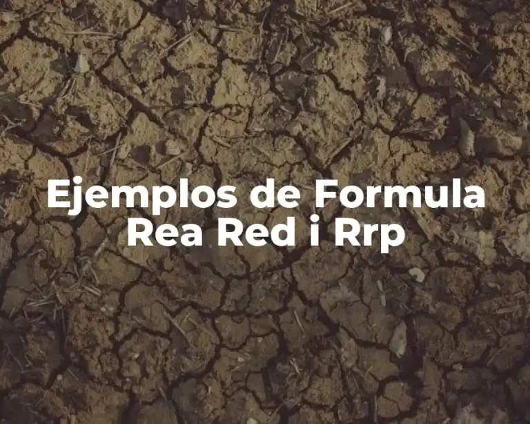 Ejemplos de Formula Rea Red i Rrp