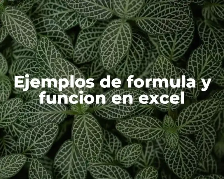 Ejemplos de formula y funcion en excel