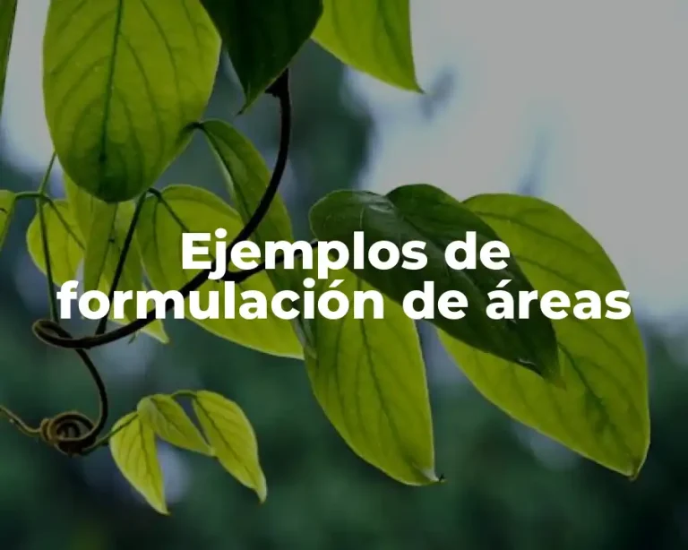 Ejemplos de formulación de áreas
