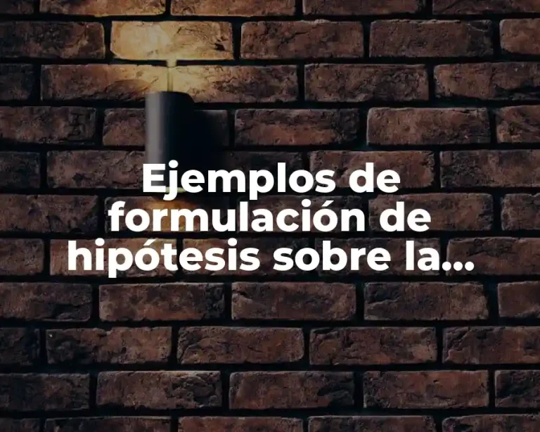Ejemplos de formulación de hipótesis sobre la contaminación del suelo y Significado