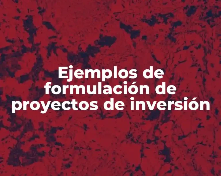 Ejemplos de formulación de proyectos de inversión