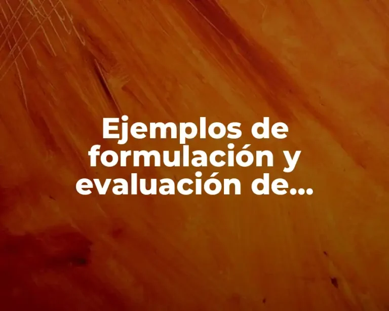 Ejemplos de formulación y evaluación de proyectos de inversión y Significado