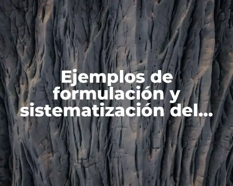 Ejemplos de formulación y sistematización del problema