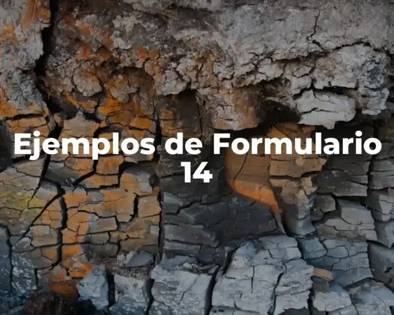 Ejemplos de Formulario 14