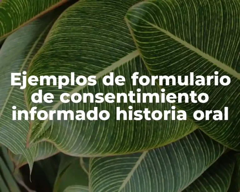 Ejemplos de formulario de consentimiento informado historia oral
