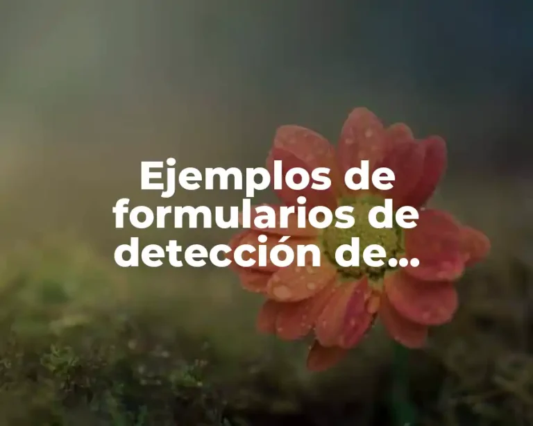 Ejemplos de formularios de detección de necesidades de capacitación