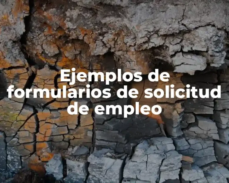 Ejemplos de formularios de solicitud de empleo
