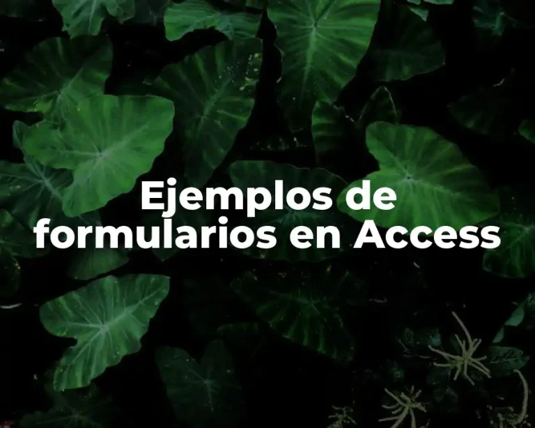Ejemplos de formularios en Access