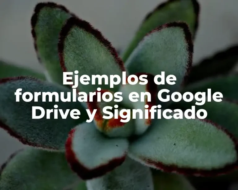 Ejemplos de formularios en Google Drive y Significado