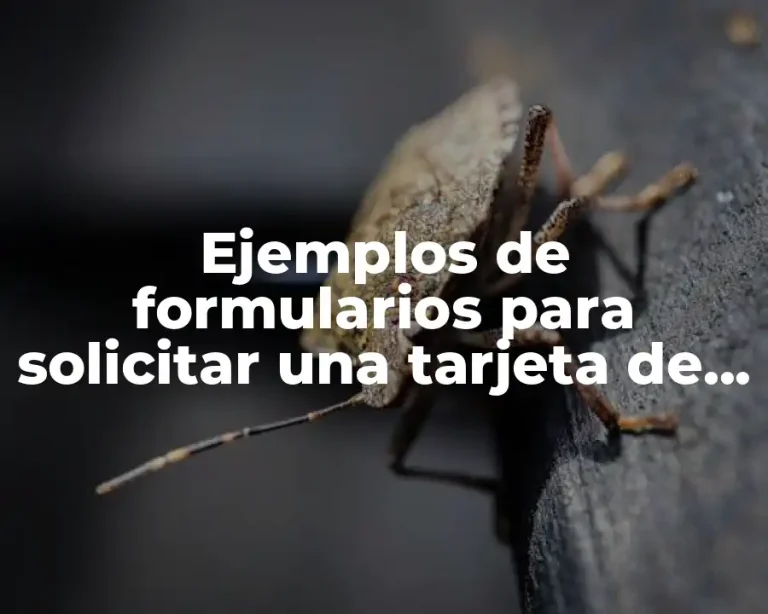 Ejemplos de formularios para solicitar una tarjeta de credito
