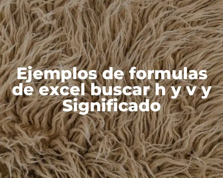 Ejemplos de formulas de excel buscar h y v y Significado