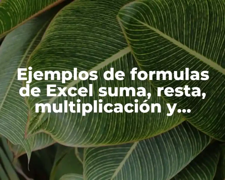 Ejemplos de formulas de Excel suma, resta, multiplicación y división