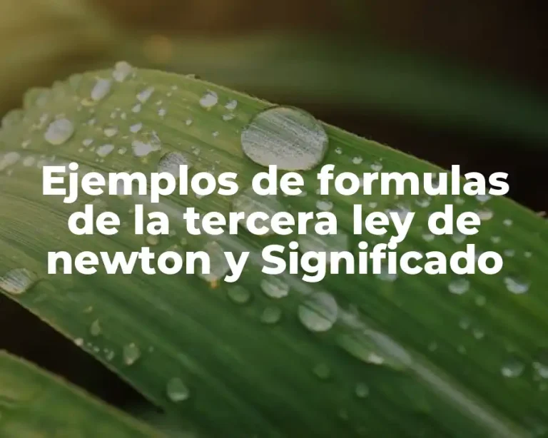 Ejemplos de formulas de la tercera ley de newton y Significado
