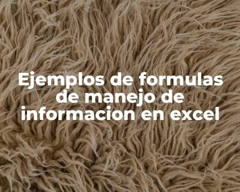 Ejemplos de formulas de manejo de informacion en excel
