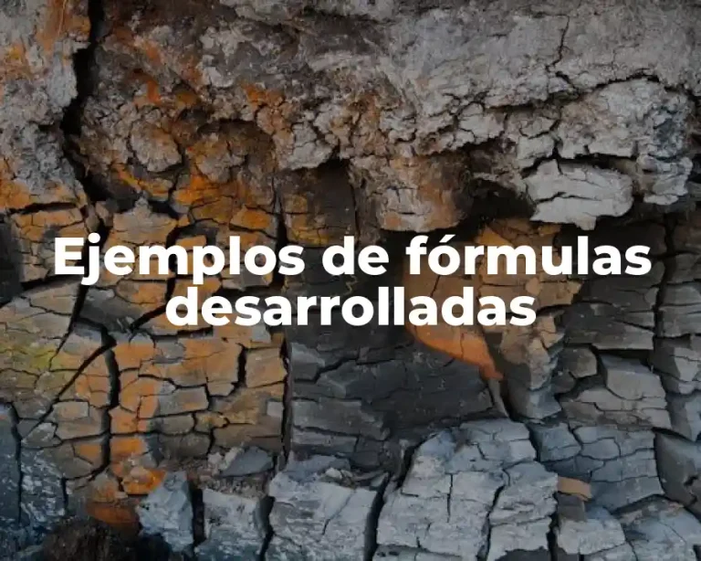 Ejemplos de fórmulas desarrolladas