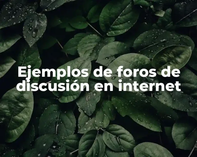 Ejemplos de foros de discusión en internet