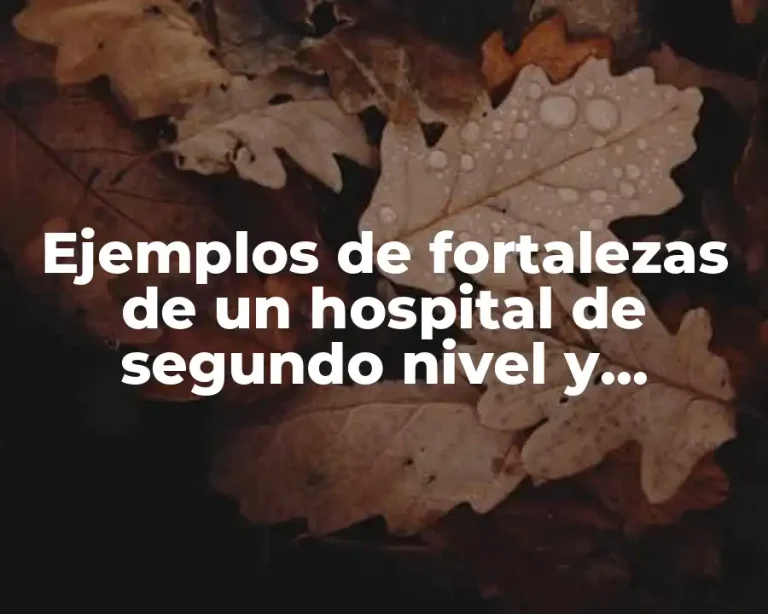 Ejemplos de fortalezas de un hospital de segundo nivel y Significado