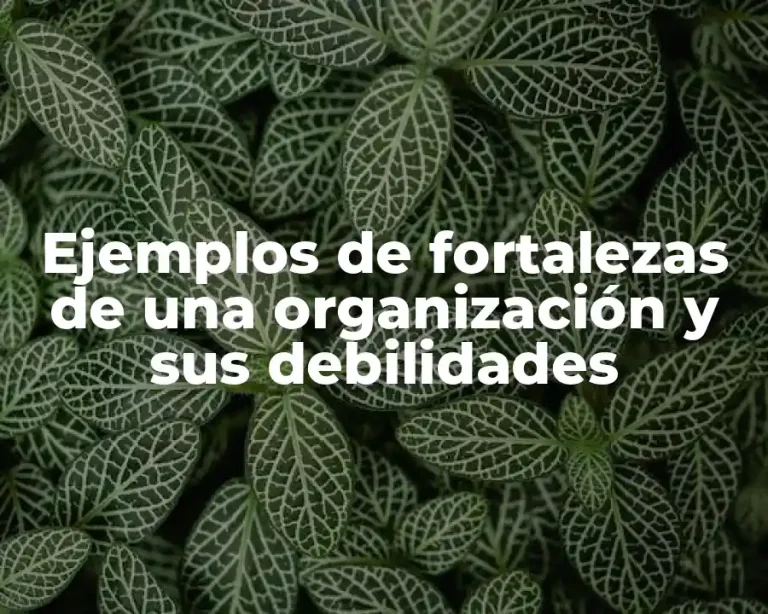 Ejemplos de fortalezas de una organización y sus debilidades