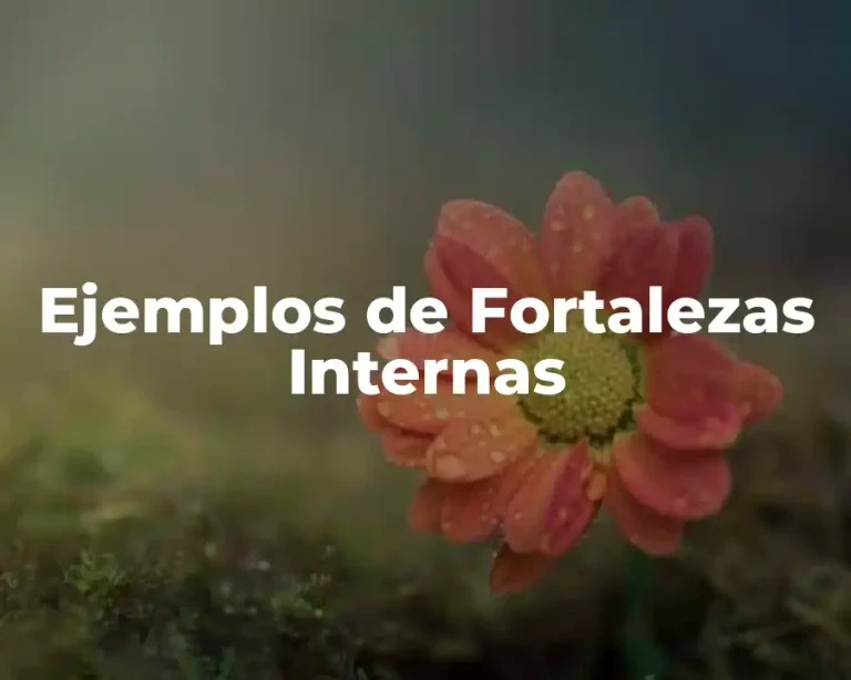 Ejemplos de Fortalezas Internas