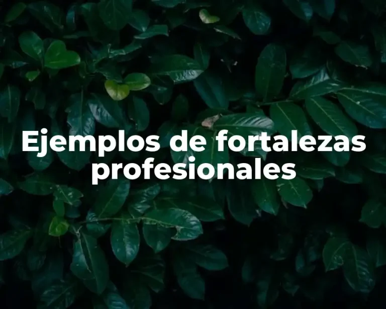 Ejemplos de fortalezas profesionales