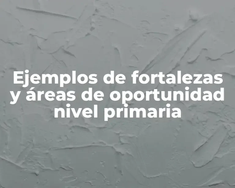 Ejemplos de fortalezas y áreas de oportunidad nivel primaria