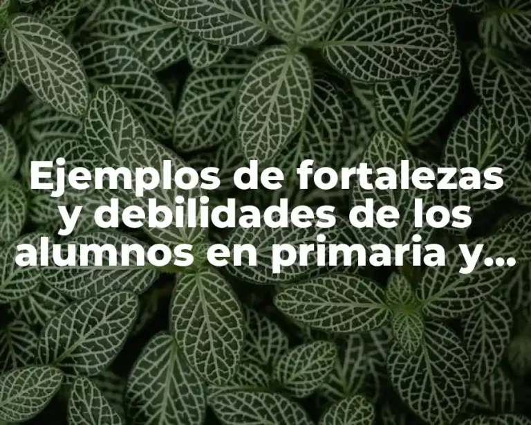 Ejemplos de fortalezas y debilidades de los alumnos en primaria y Significado