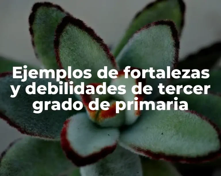 Ejemplos de fortalezas y debilidades de tercer grado de primaria