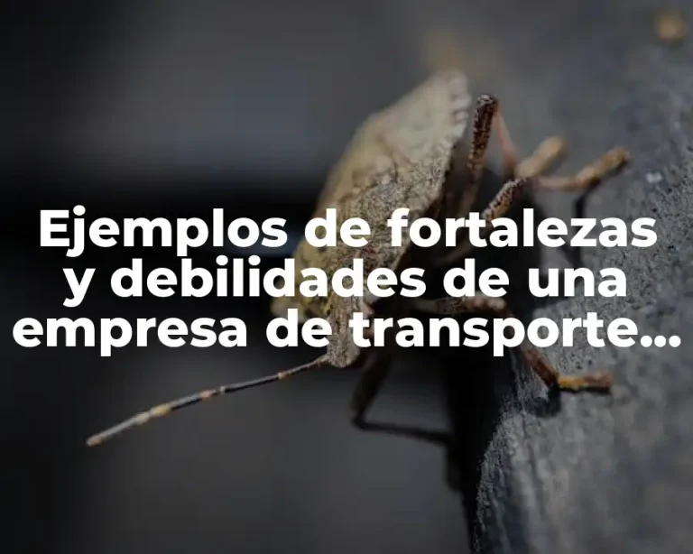 Ejemplos de fortalezas y debilidades de una empresa de transporte y Significado