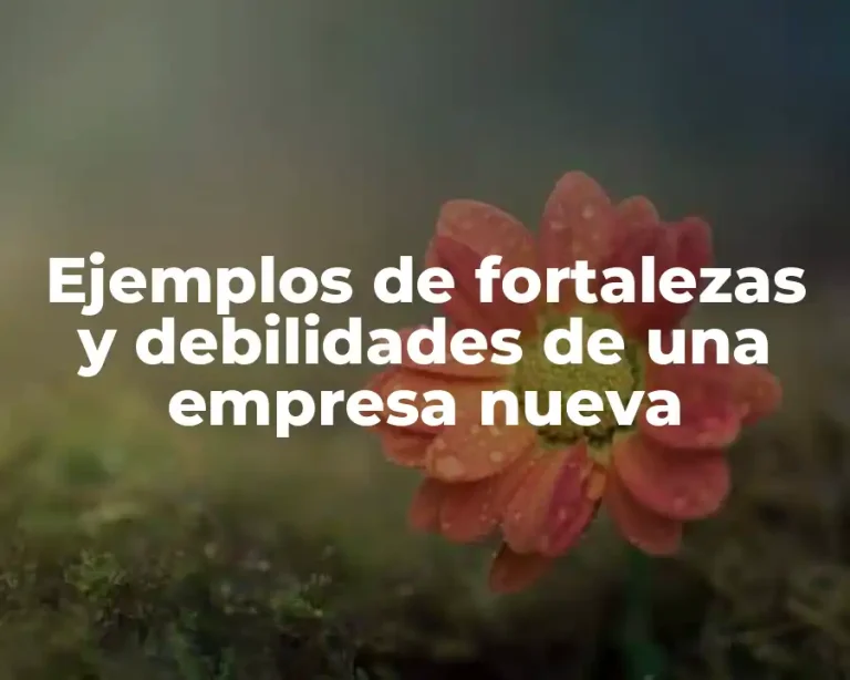 Ejemplos de fortalezas y debilidades de una empresa nueva