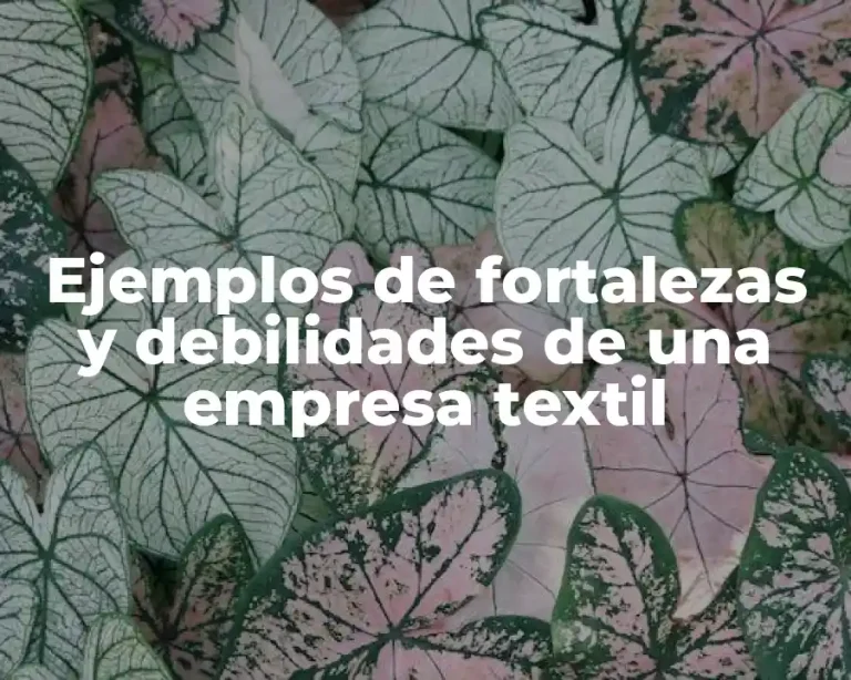Ejemplos de fortalezas y debilidades de una empresa textil