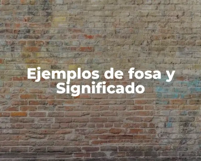 Ejemplos de fosa y Significado