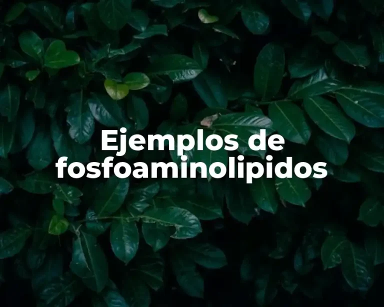 Ejemplos de fosfoaminolipidos