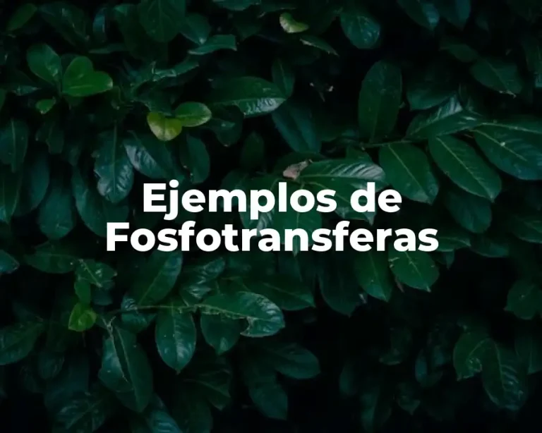 Ejemplos de Fosfotransferas
