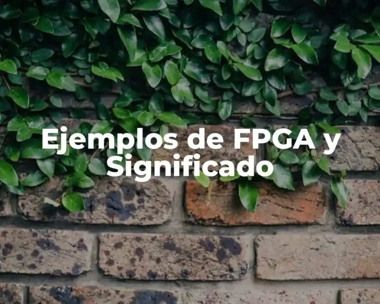 Ejemplos de FPGA y Significado