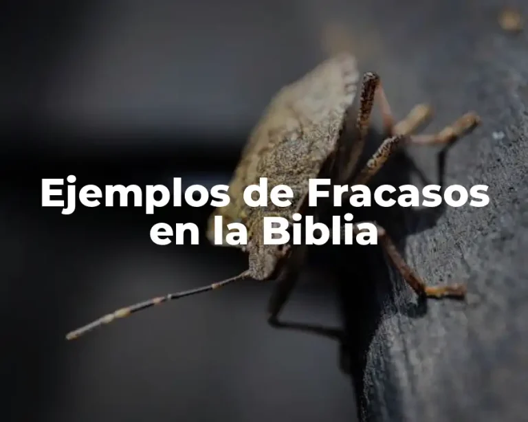 Ejemplos de Fracasos en la Biblia