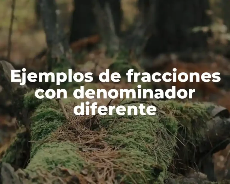 Ejemplos de fracciones con denominador diferente