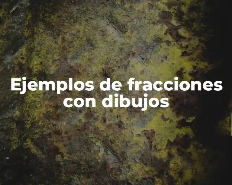 Ejemplos de fracciones con dibujos