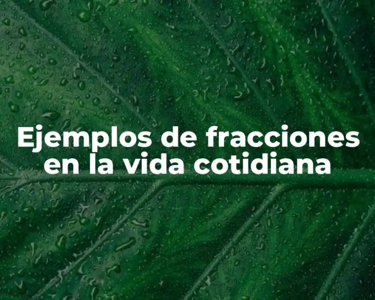 Ejemplos de fracciones en la vida cotidiana