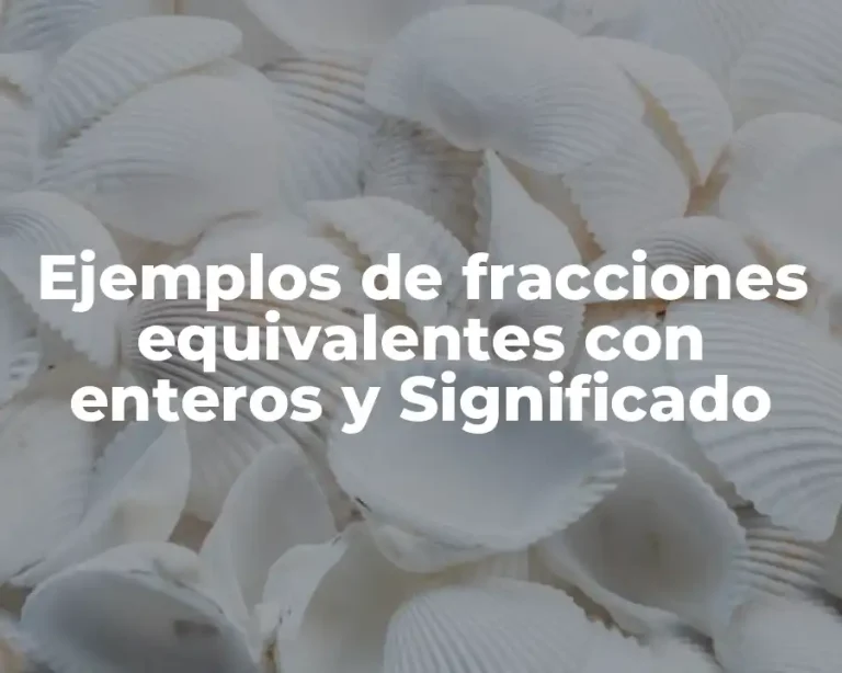 Ejemplos de fracciones equivalentes con enteros y Significado