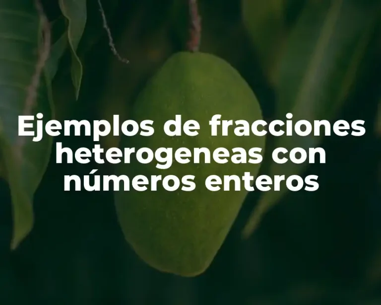 Ejemplos de fracciones heterogeneas con números enteros