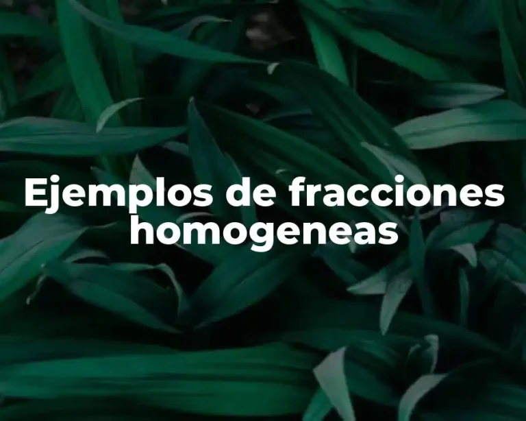 Ejemplos de fracciones homogeneas