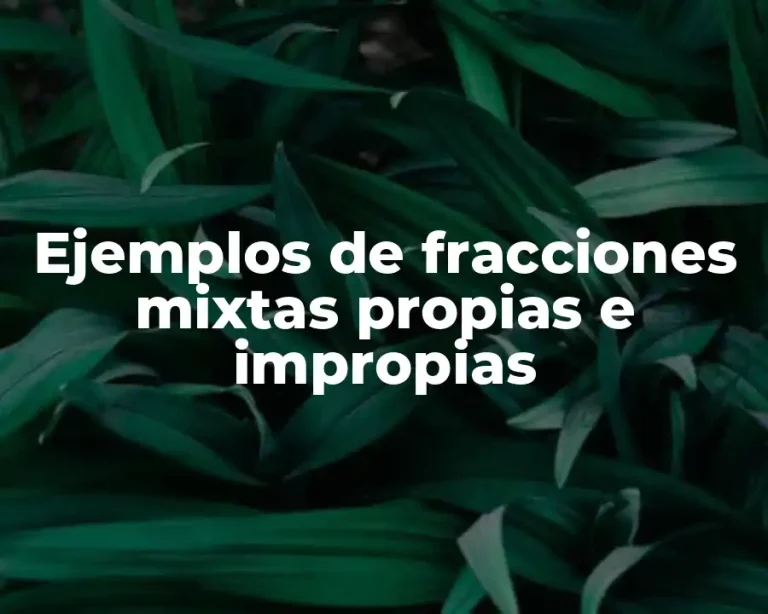 Ejemplos de fracciones mixtas propias e impropias