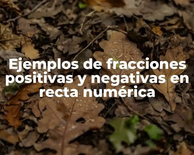 Ejemplos de fracciones positivas y negativas en recta numérica