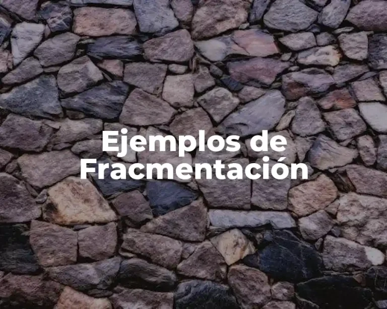 Ejemplos de Fracmentación