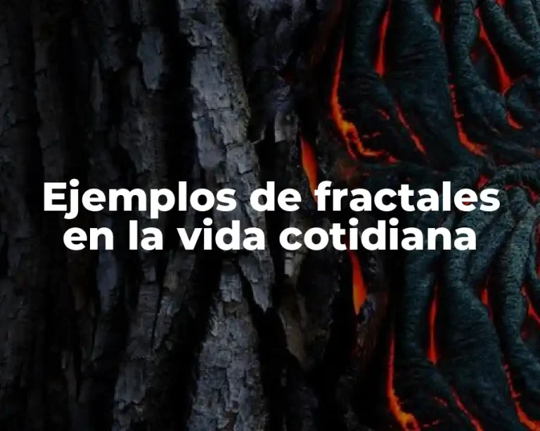 Ejemplos de fractales en la vida cotidiana
