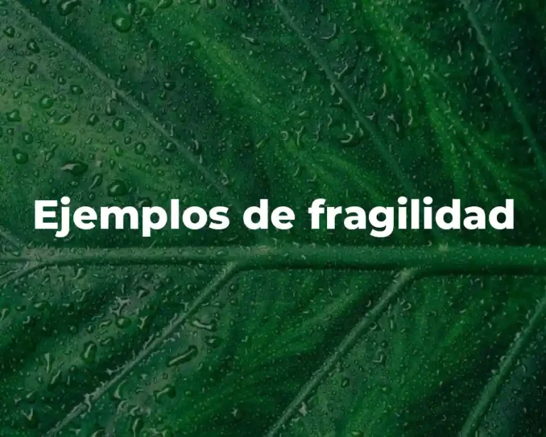 Ejemplos de fragilidad