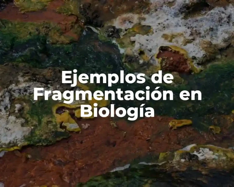 Ejemplos de Fragmentación en Biología