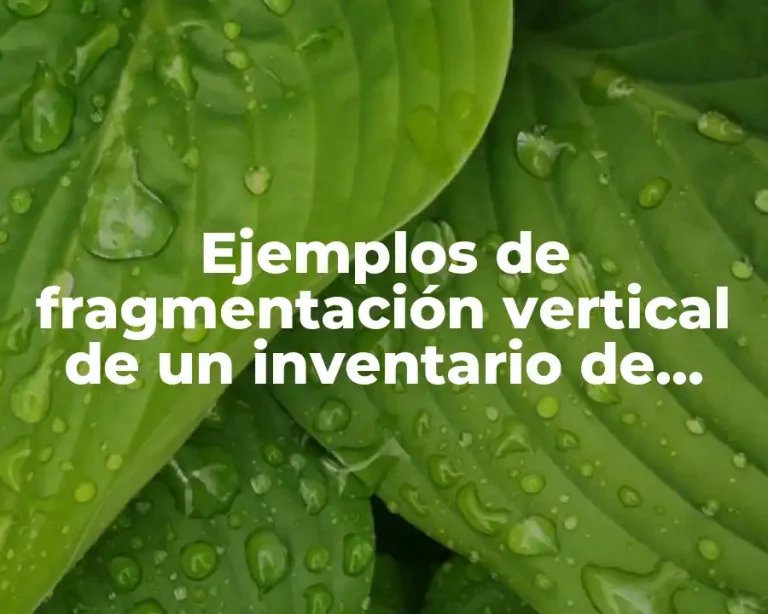 Ejemplos de fragmentación vertical de un inventario de productos