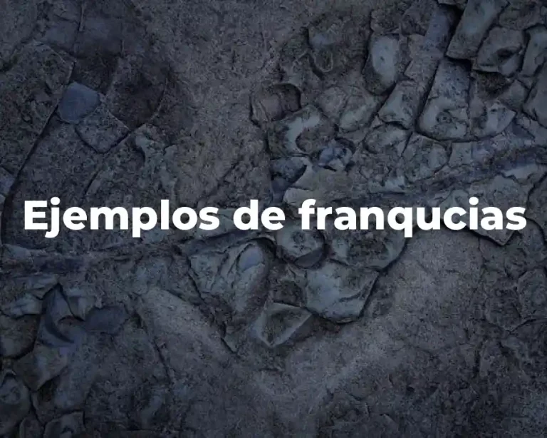 Ejemplos de franqucias